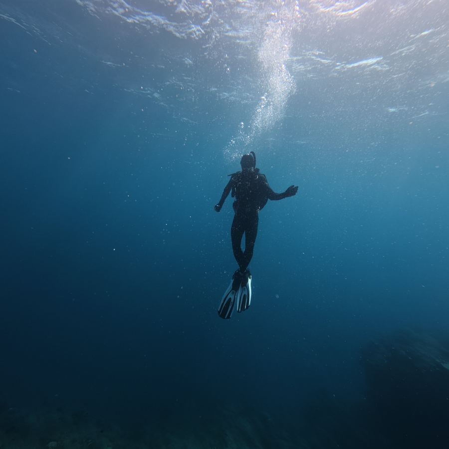 Diver Descent